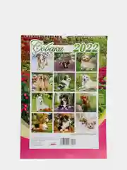 Календарь А3 перекидной 2022 год, формат 30,2 х 43 см
