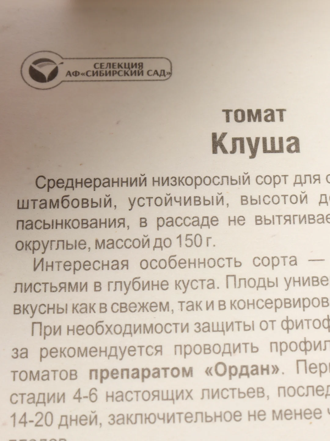 Семена Томат "Клуша"