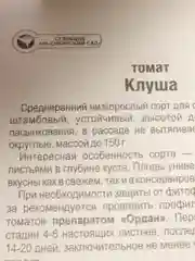 Семена Томат "Клуша"