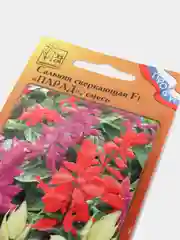 Сальвия F1 Парад смесь (семена)