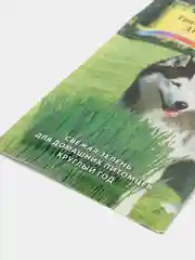 Трава для собак Дружок (семена)
