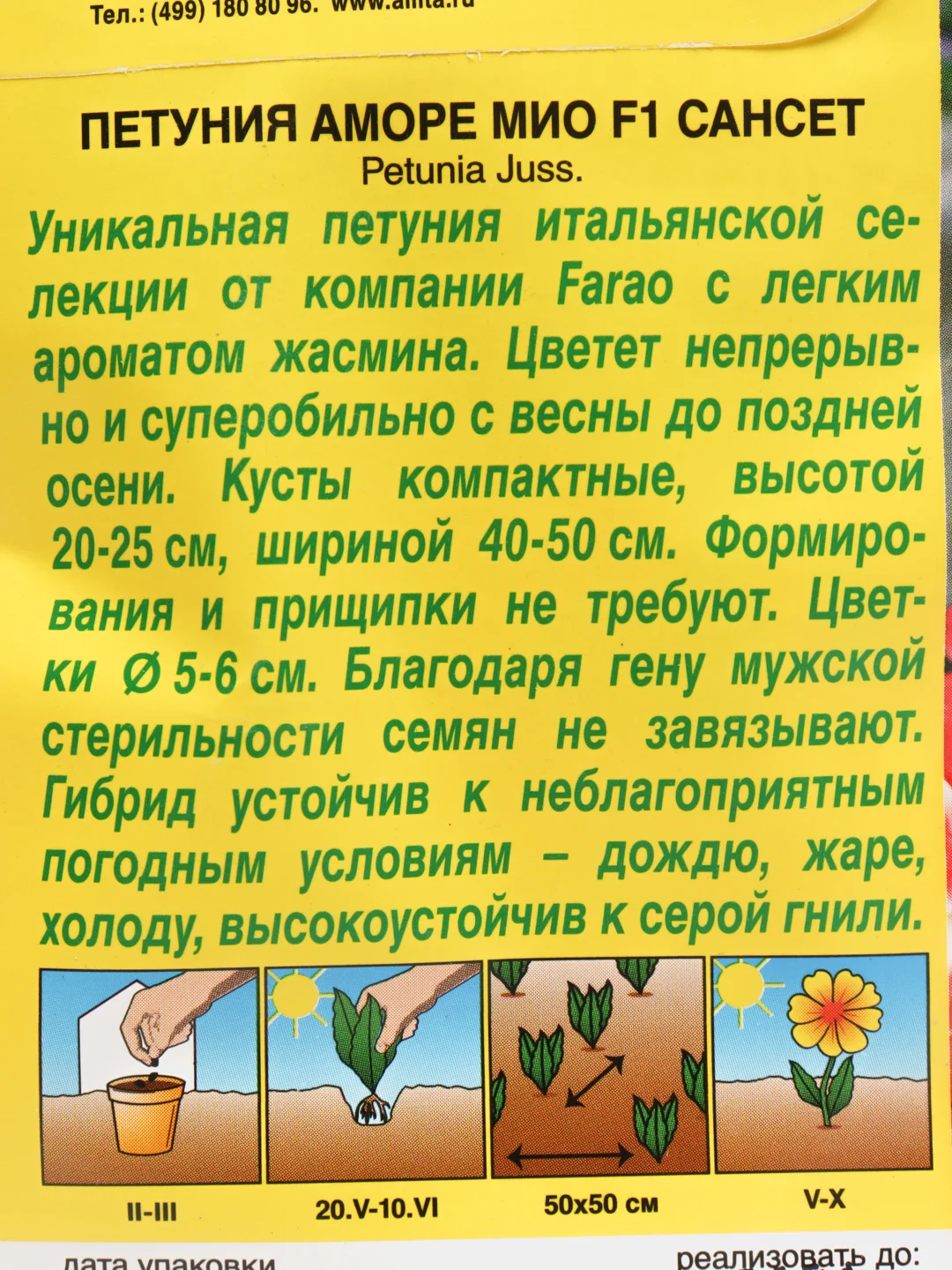 Петуния Аморе Мио сансет (семена,цветы)