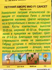 Петуния Аморе Мио сансет (семена,цветы)