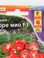 Петуния Аморе Мио сансет (семена,цветы)