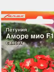 Петуния Аморе Мио сансет (семена,цветы)