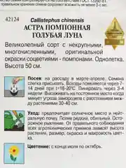 Семена цветов Астра помпонная "Голубая Луна"