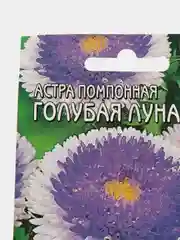 Семена цветов Астра помпонная "Голубая Луна"