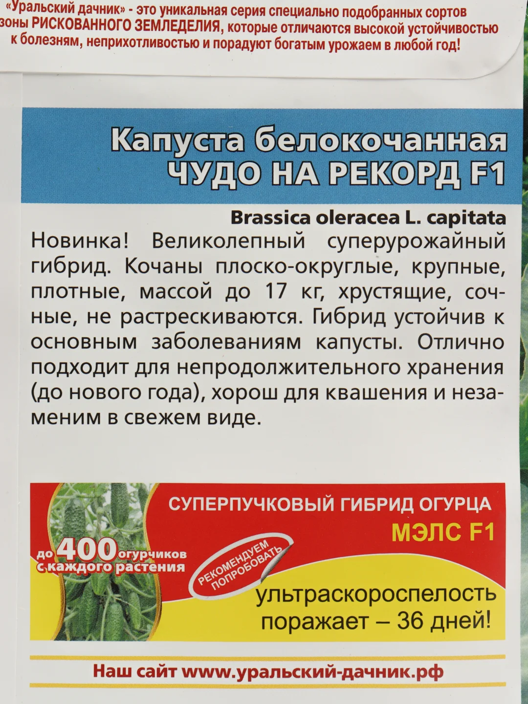 Семена Капуста Чудо на рекорд