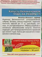 Семена Капуста Чудо на рекорд
