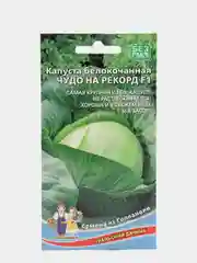 Семена Капуста Чудо на рекорд