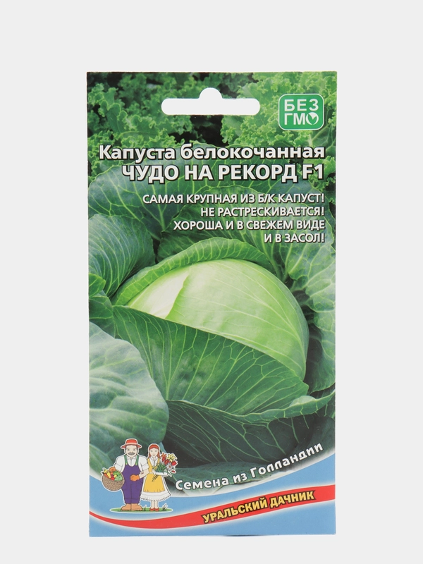 Семена Капуста Чудо на рекорд