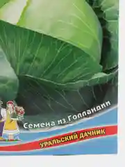 Семена Капуста Чудо на рекорд