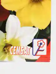 Семена цветов Георгина "Веселые ребята"