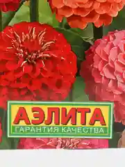Семена Цинния изящная "Лилипут", смесь