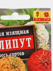 Семена Цинния изящная "Лилипут", смесь