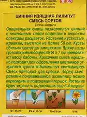 Семена Цинния изящная "Лилипут", смесь