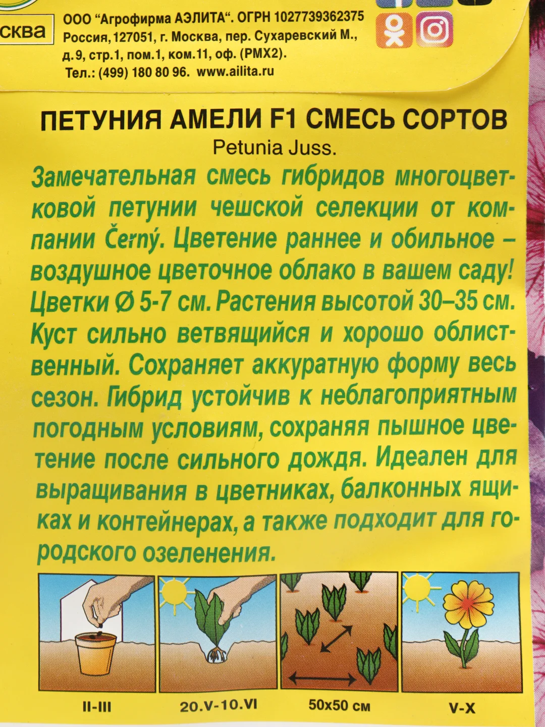 Петуния Амели (семена,цветы)
