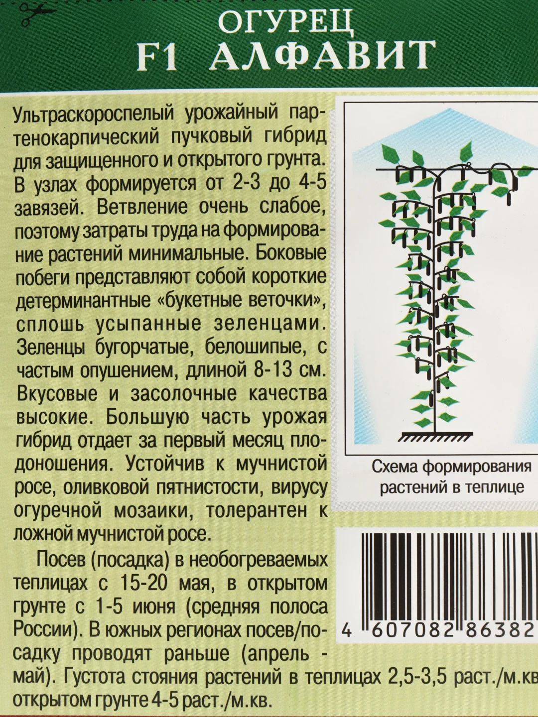 Семенам Огурец "Алфавит"
