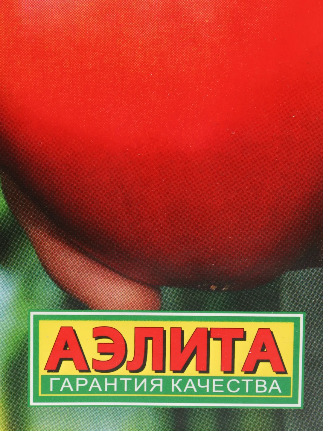 Томат Бычье сердце компакт