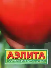 Томат Бычье сердце компакт