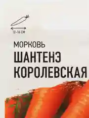 Семена Морковь среднеспелая "Шантенэ королевская", 2 г