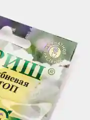 Бегония "Нон стоп Белая", семена, цветы