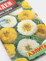 Семена цветы "Хризантема голден смесь"
