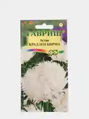 Семена Астра "Краллен бирма"
