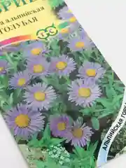 Астра Голубая альпийская серия Альпийская горка, семена, цветы
