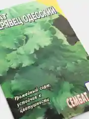 Семена Салат "Кучерявец одесский"