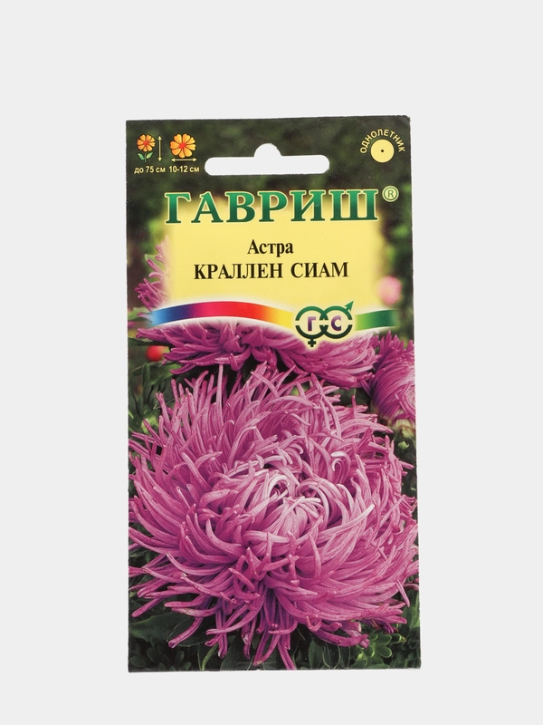 Семена цветов Астра "Краллен сиам"