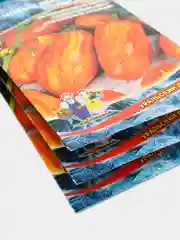 Семена Томат "Новый Кенигсберг полосатый" набор 1, 3, 5 уп