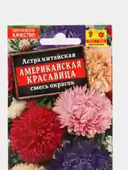 Семена Астра "Американская красавица" смесь окрасок
