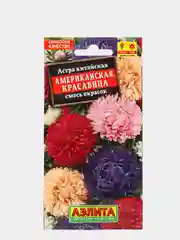 Семена Астра "Американская красавица" смесь окрасок