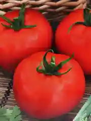 Томат Беталюкс (семена)