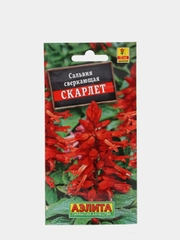 Сальвия сверкающая Скарлет (семена)