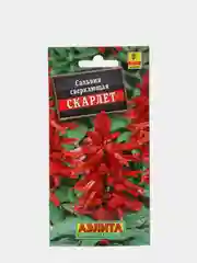 Сальвия сверкающая Скарлет (семена)