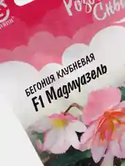 Семена Бегония клубневая "Мадмуазель" набор 2 уп