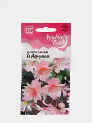 Семена Бегония клубневая "Мадмуазель" набор 2 уп