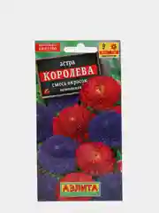 Семена цветов Астра "Королева"