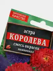 Семена цветов Астра "Королева"