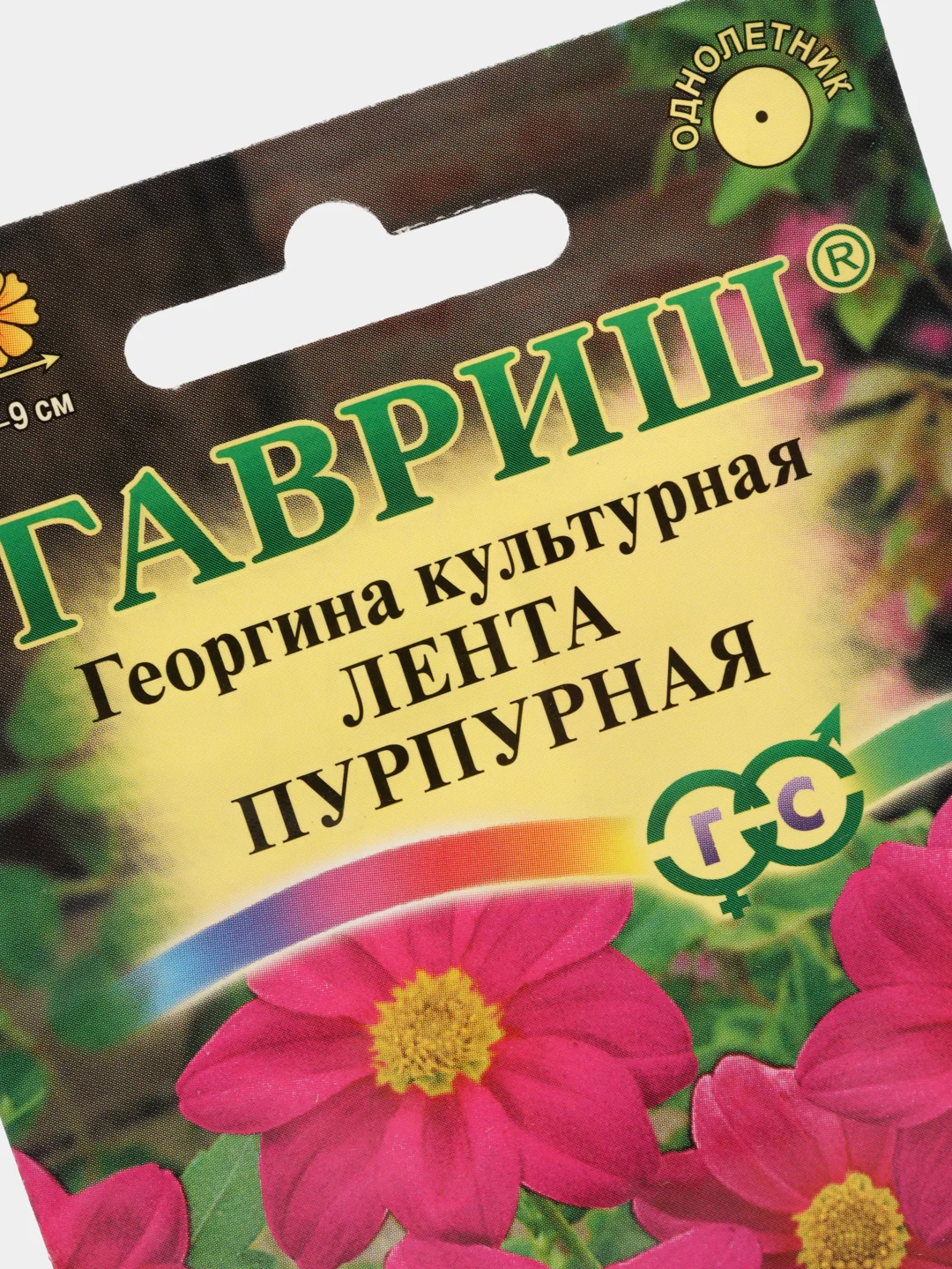 Георгина "Лента пурпурная", набор по 1, 3, 5 шт
