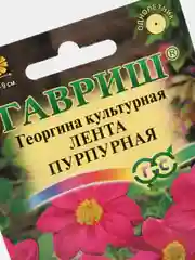 Георгина "Лента пурпурная", набор по 1, 3, 5 шт