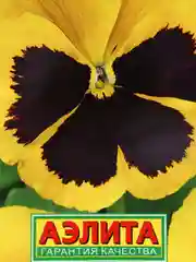 Виола Виттрока Золотая корона (семена) / Аэлита