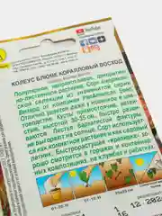 Семена Колеус блюме  Коралловый восход