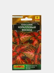 Семена Колеус блюме  Коралловый восход