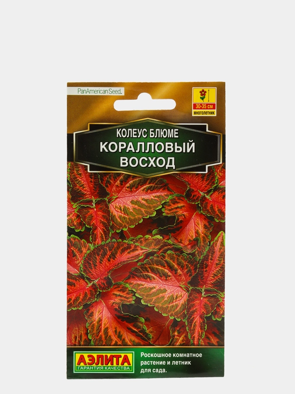 Семена Колеус блюме  Коралловый восход
