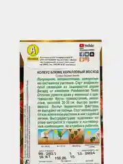 Семена Колеус блюме  Коралловый восход