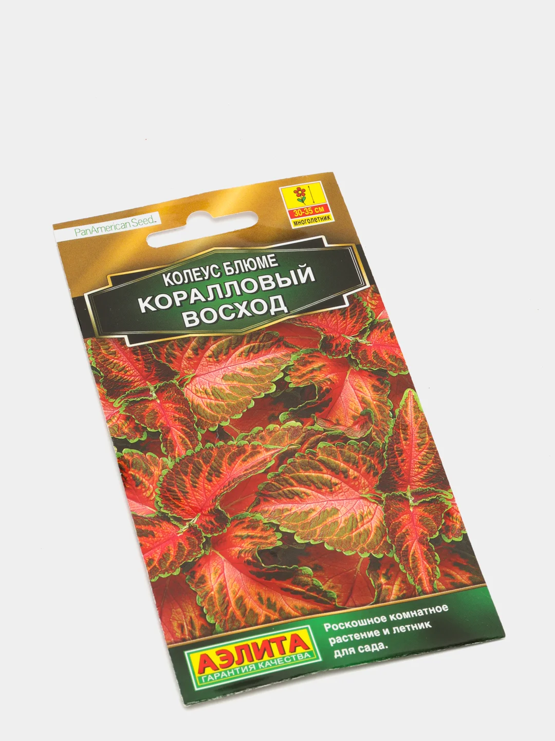 Семена Колеус блюме  Коралловый восход