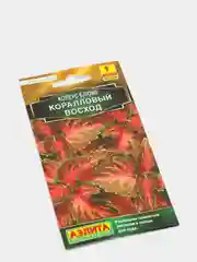 Семена Колеус блюме  Коралловый восход
